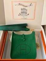 Hermes Evelyn 𝖬𝗂𝗇𝗂 17 Gold Hardware-Top master