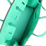 Hermes Birkin 25 Menthe Varanus Niloticus Lizard Gold Hardware - Image 8
