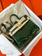 Herm&egrave;s Birkin 25-35 Emerald Bay Crocodile Leather - Image 2