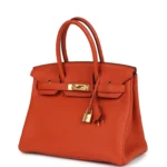 Hermes Birkin 30 Terre Battue Togo Gold Hardware - Image 5