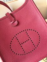 Hermes Evelyn 16-29 Custom-made - Image 6