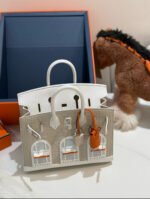 Herm&egrave;s Birkin 20 Silver Buckle Platinum Bag customization - Image 2