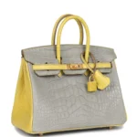 Hermes Special Order (HSS) Birkin 25 Gris Perle and Mimosa Matte Alligator Brushed Gold Hardware - Image 2
