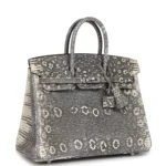 Hermes Birkin 25 Ombre Varanus Salvator Lizard Palladium Hardware - Image 2